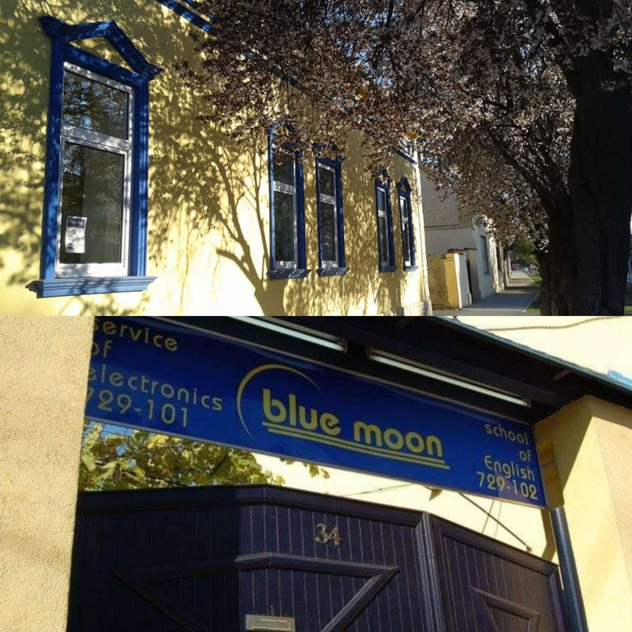 Blue Moon School of English